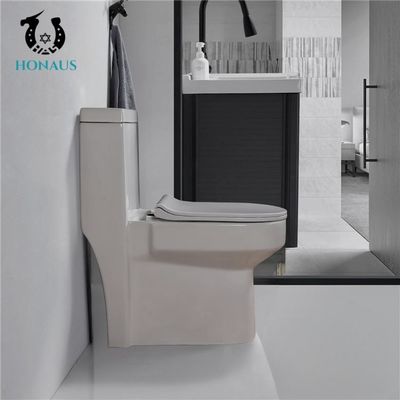 Canadian Single Piece Wall Mounted Commode One Piece Wc 650*360*740mm