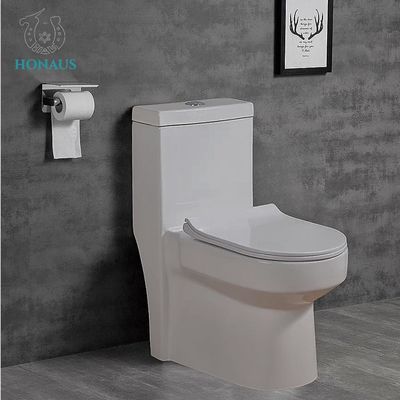 Canadian Single Piece Wall Mounted Commode One Piece Wc 650*360*740mm