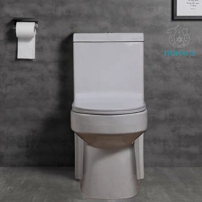 Canadian Single Piece Wall Mounted Commode One Piece Wc 650*360*740mm