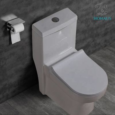Canadian Single Piece Wall Mounted Commode One Piece Wc 650*360*740mm