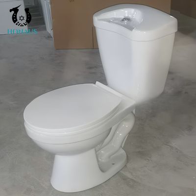Elongated Ceramic Two Piece Toilet Bowl Floor Mounted S/P Trap 300mm