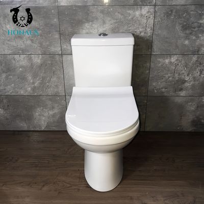 Ceramic White Dual Flush Toilet Bowl with Seat Cover Accessories