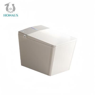 Rectangular Smart Intelligent Toilet Ceramic Night Light Multi Washes Auto Flush