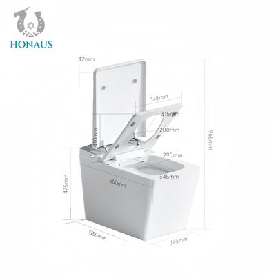 Rectangular Smart Intelligent Toilet Ceramic Night Light Multi Washes Auto Flush