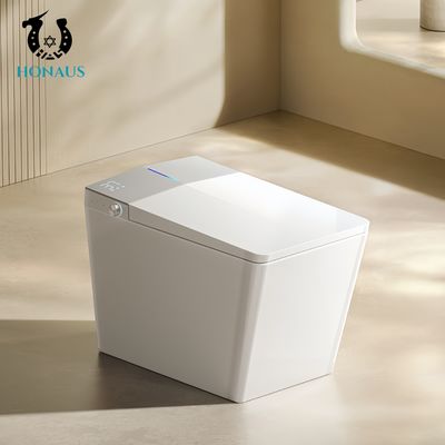 Rectangular Smart Intelligent Toilet Ceramic Night Light Multi Washes Auto Flush
