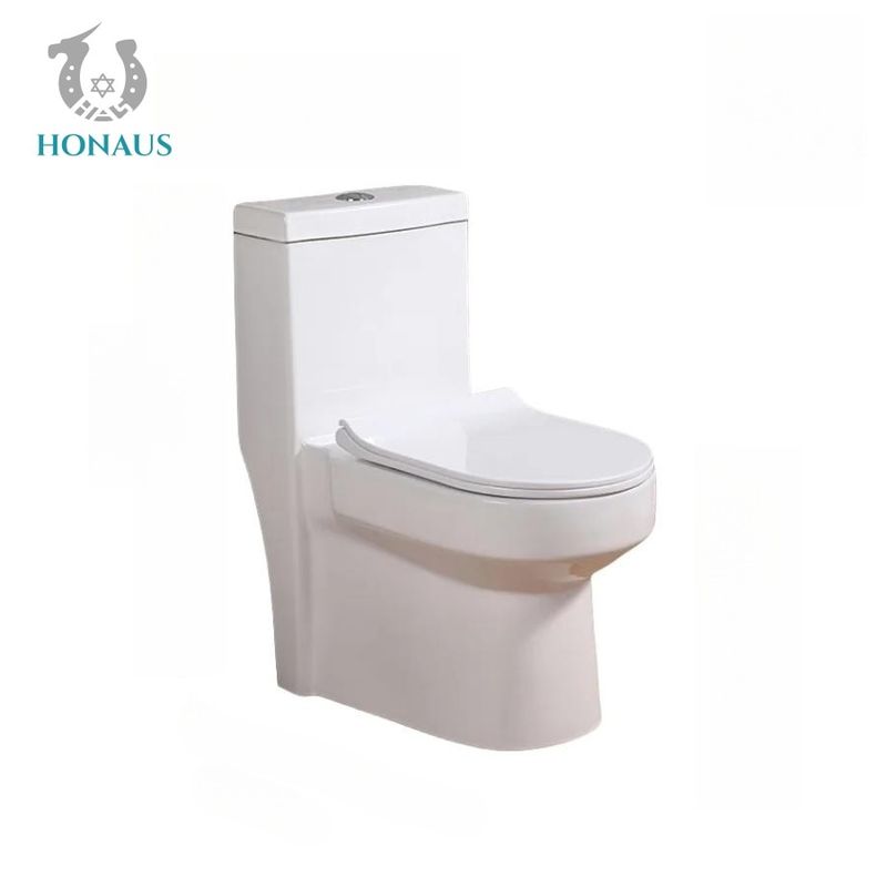 Canadian Single Piece Wall Mounted Commode One Piece Wc 650*360*740mm