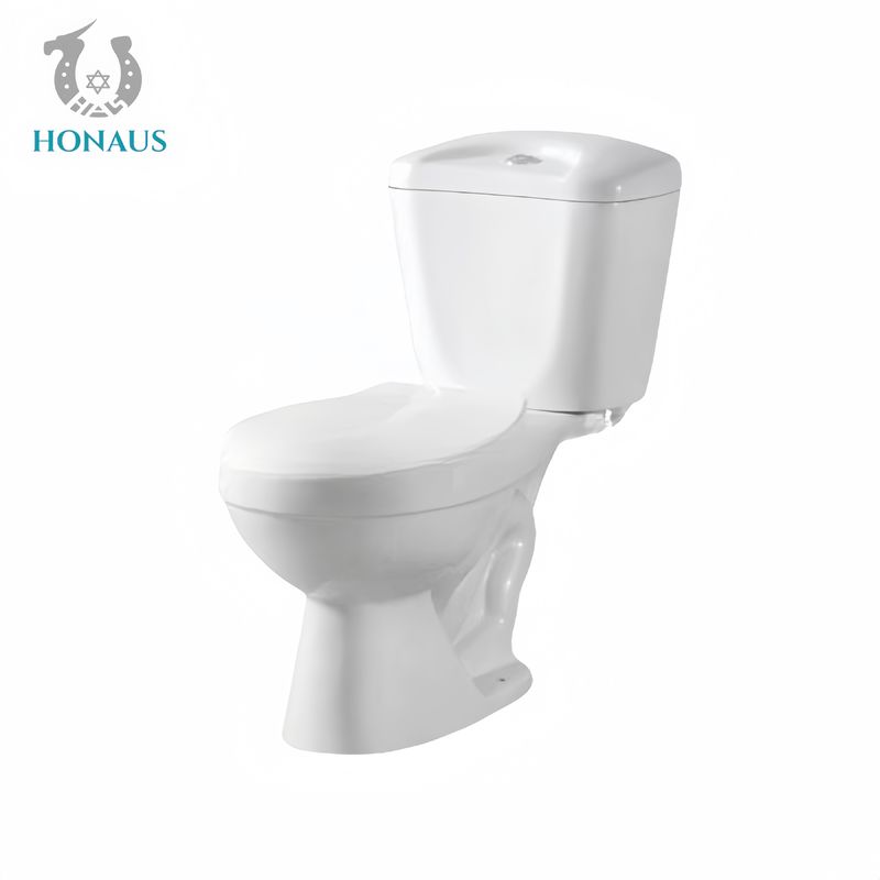 Elongated Ceramic Two Piece Toilet Bowl Floor Mounted S/P Trap 300mm