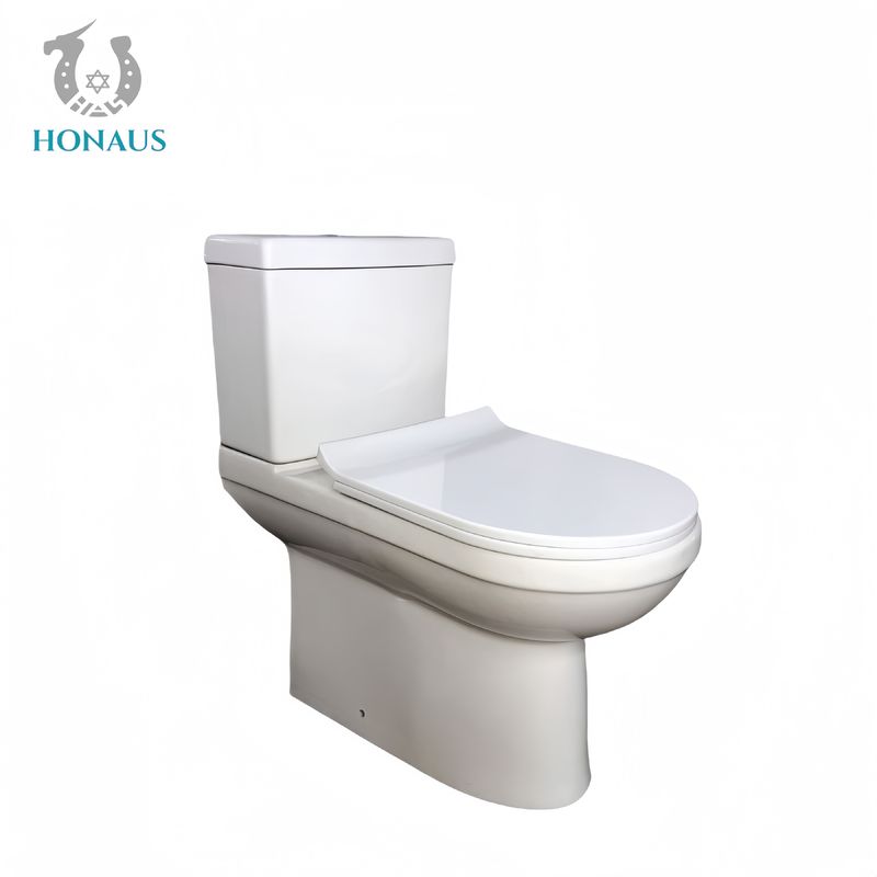 Ceramic White Dual Flush Toilet Bowl with Seat Cover Accessories